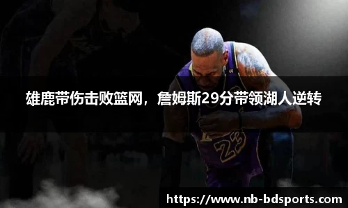 雄鹿带伤击败篮网，詹姆斯29分带领湖人逆转