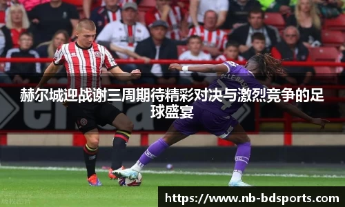 赫尔城迎战谢三周期待精彩对决与激烈竞争的足球盛宴
