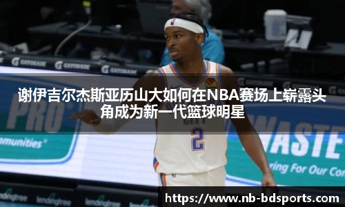 半岛体育官网